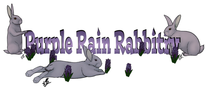 Purple Rain Rabbitry